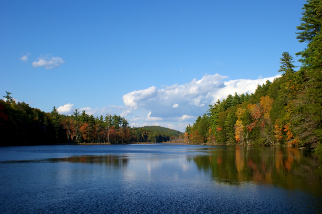 The Myers Pond Forest, managed by Hull Forestlands in Union, CT