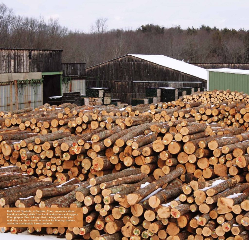 Hull Forest Products log yard Pomfret CT