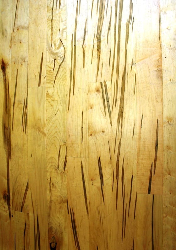 spalted ambrosia maple spalted ambrosia maple