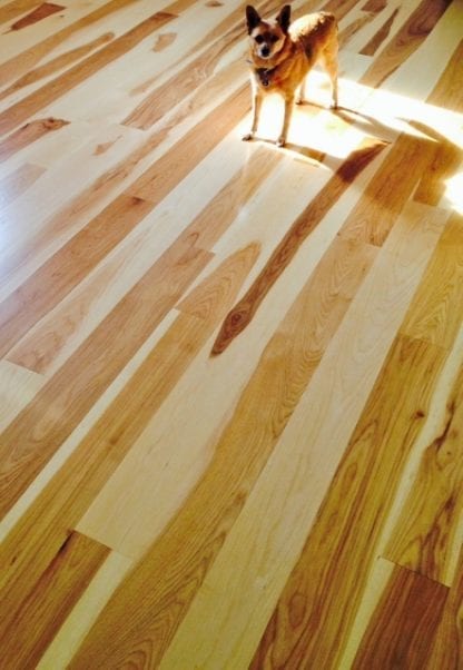 Hickory Flooring - Premium Grade