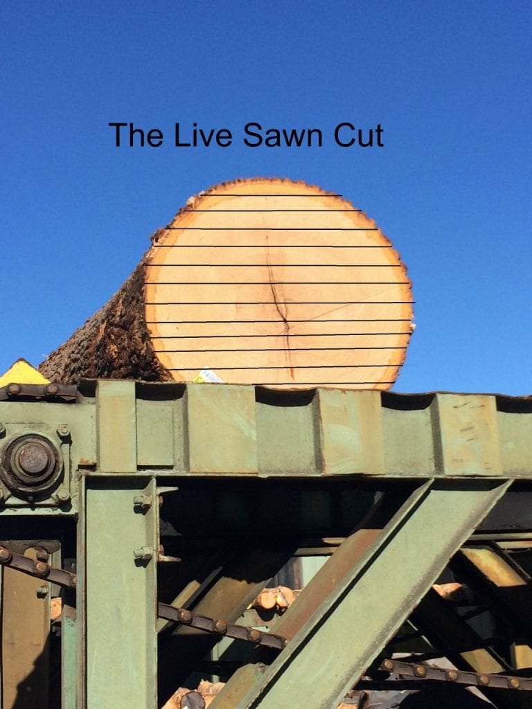 Oak log sits on log deck waiting to be live sawn