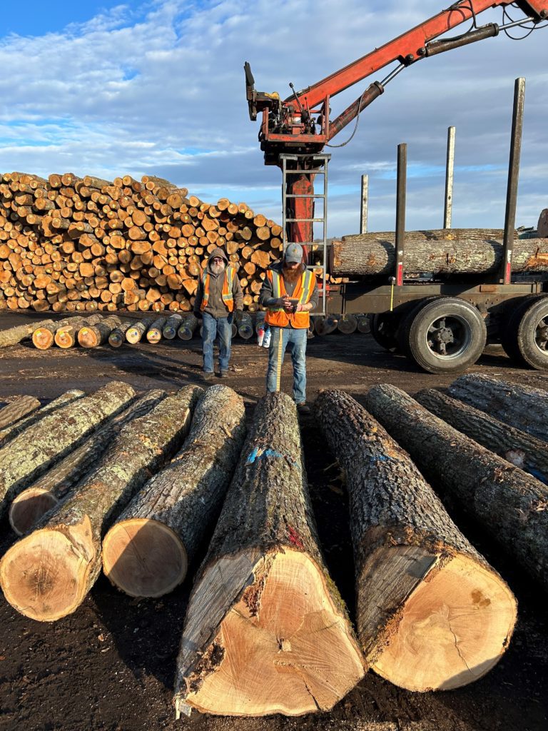 Hardwood logs are tallied at Hull Forest Products in Pomfret, Connecticut prior to being sawn into lumber.